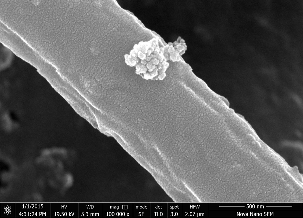 Sen Microscope Scanning Electron Microscope (SEM) | PhysLab
